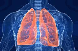 Foods that will keep your lung healthy