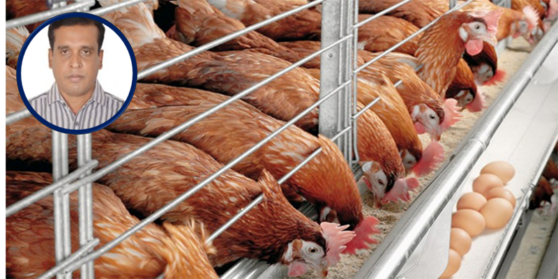 COVID-19 and the future for Bangladesh’s poultry sector
