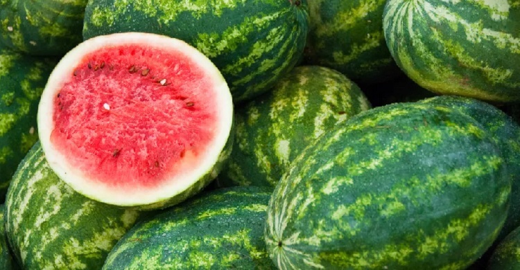 Where did watermelons come from?