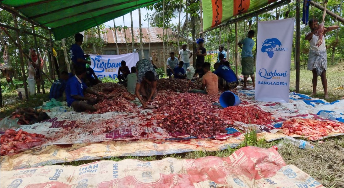 One Ummah carried out the Qurbani of 20 cows and 100 sheep/goats Distribution